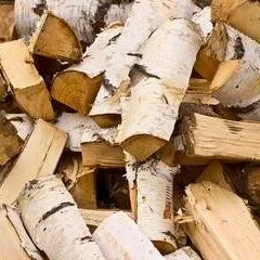 A pile of split birch firewood from Winnipeg Firewood, featuring light-colored bark and exposed wood, is neatly stacked in an outdoor setting.